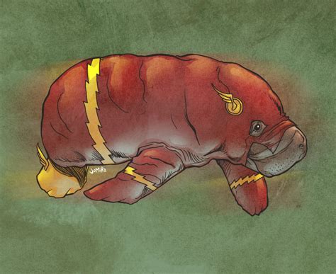 rocket manatee|More.